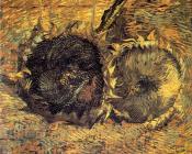 两朵剪下的向日葵 - 文森特·威廉·梵高